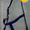 Synthetic Beta Biothane Halters for Horses in Royal Navy Blue ~ workwell saddlery