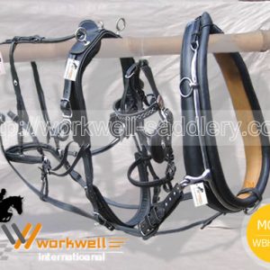English Collar Original Leather Presentation Harness